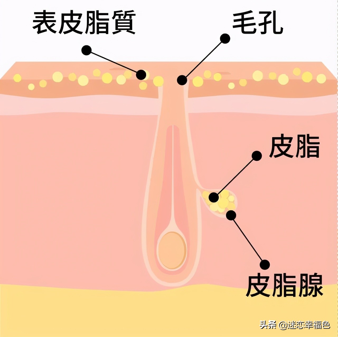 一到冬天就全身瘙痒,一到冬天全身皮肤瘙痒是什么原因