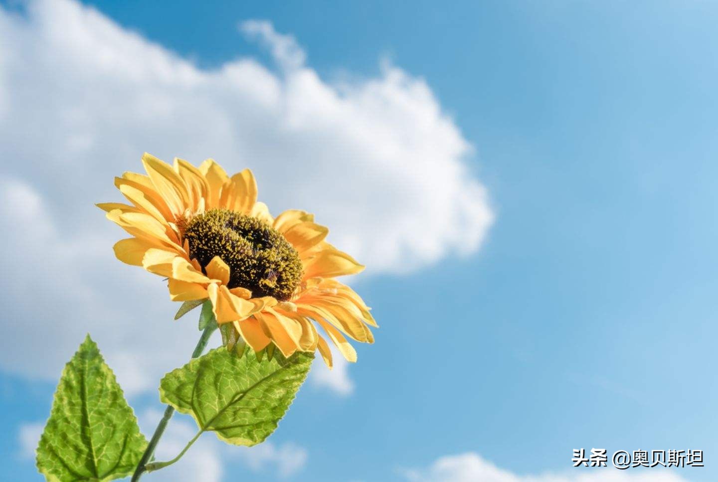 惊蛰打小人步骤和注意啥,惊蛰之打小人完整版