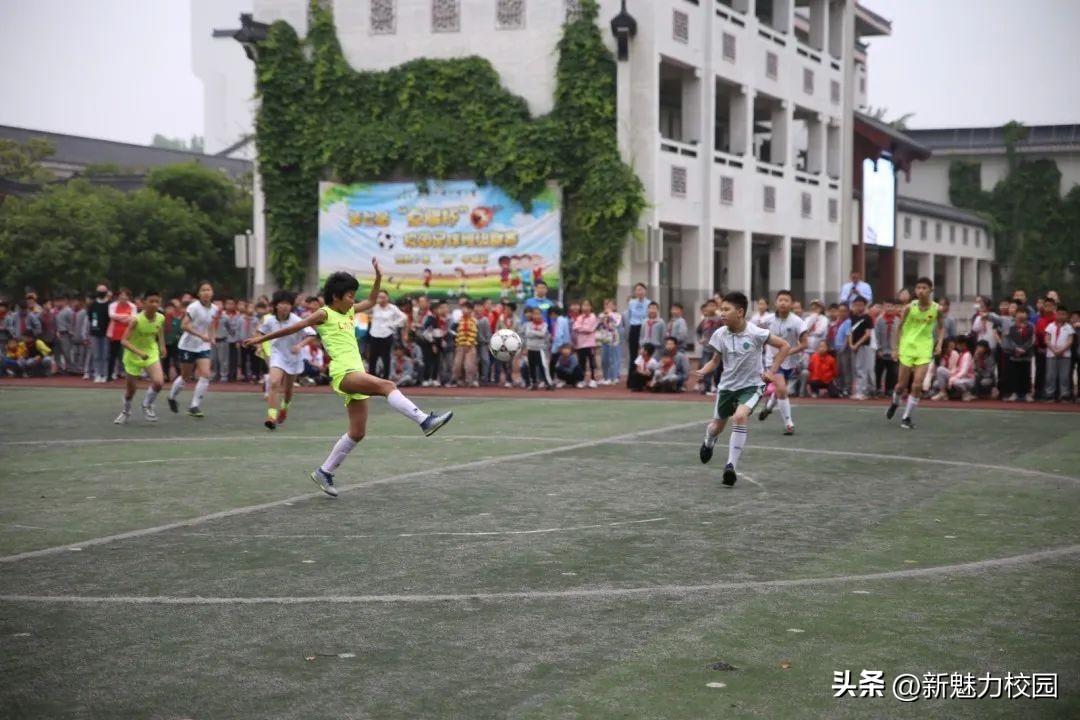 耕耘·我们的教育答卷——雨花台区学校特色与品牌系列报道4