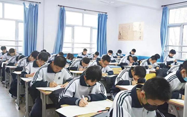 树人高级中学2024招生简章,郑州树人中学招生简章