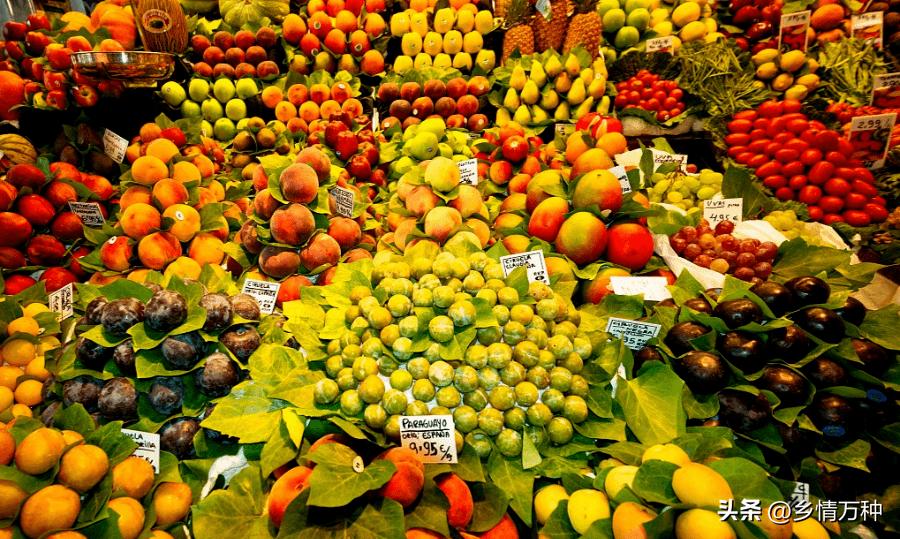 好吃到惊艳所有人的特色水果,美味盛宴种温带水果口感大揭秘