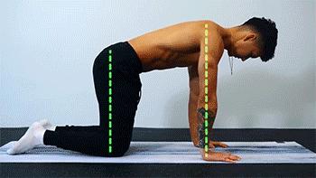 虐腹运动瘦肚子马甲线日本方法,沉浸式虐腹八分钟腹肌马甲线