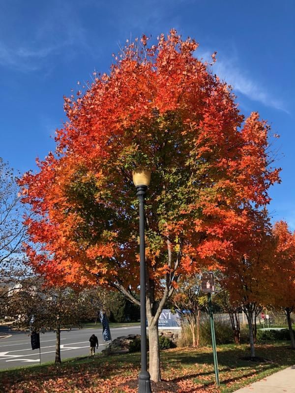展示时间视频素材,展示时间的照片