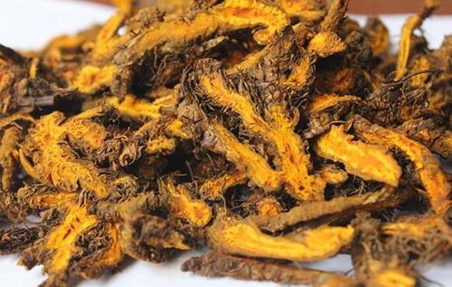 肥胖可以吃中药治疗嘛,有治疗肥胖的中药吗