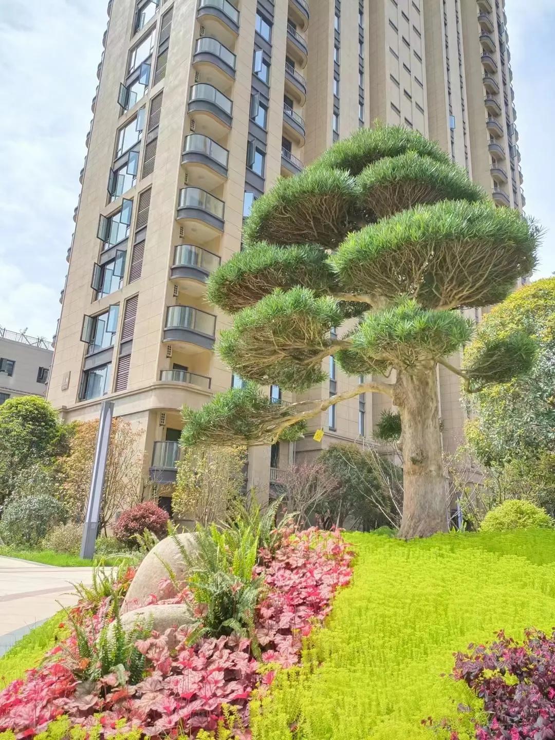 股票交易费有哪些,深圳股票交易费用