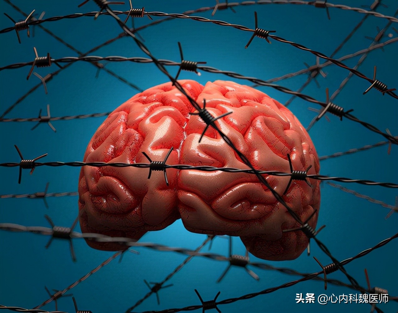 脑梗病人吃叶酸和b12b6起什么作用,老年人预防脑梗如何补充叶酸和b12