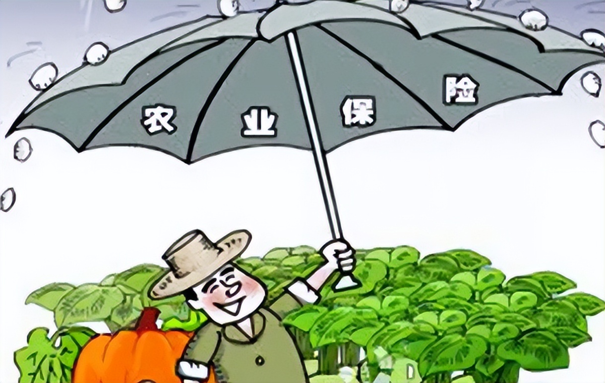 完善政策性农业保险机制,政策性农业保险对农业生产作用