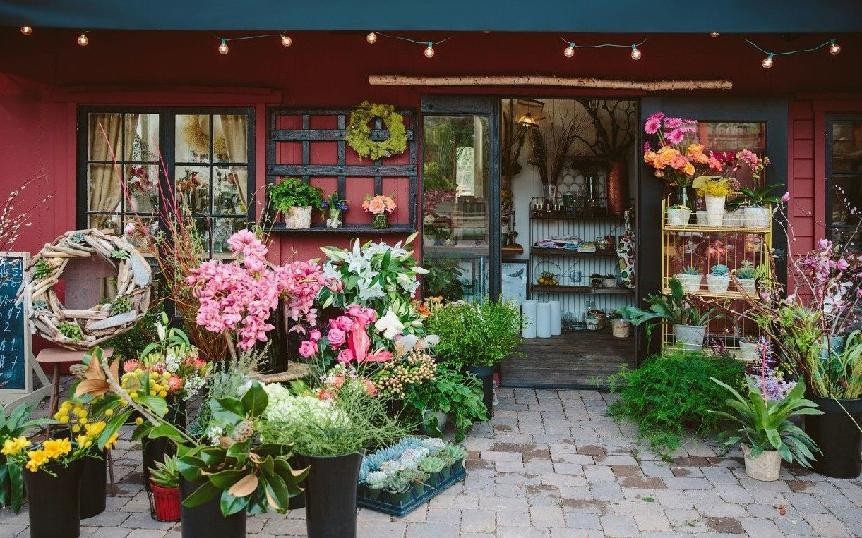 盆栽花卉进货技巧和方法,买盆栽花卉去哪个网站