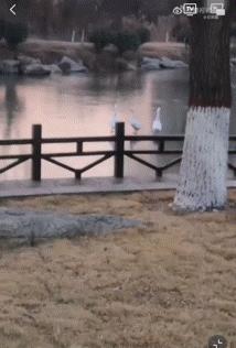 “我再也不想跟老公一块睡了”网友:我出50块,把床铺大点哈哈哈