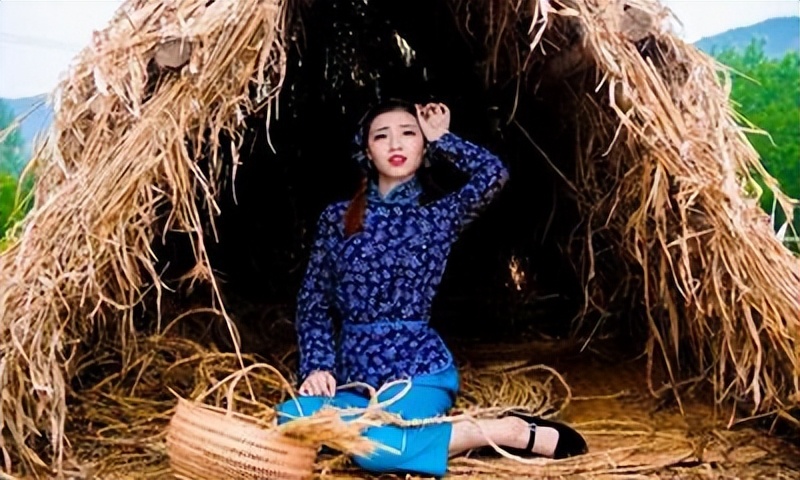 小说寡妇,寡妇和书生的电视剧