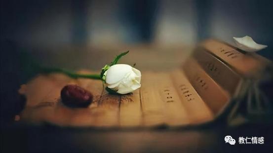 为什么一个女人总是忘不了初恋,已婚女人为什么放不下初恋