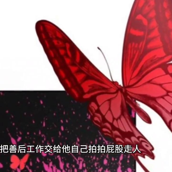 第63集/想做人偶师的人偶小说#漫画