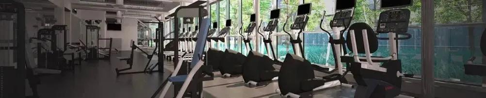 【合作大学】寻访世界名校——加拿大约克大学你不心动吗？