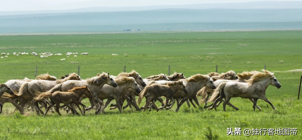 内蒙古高原的地形特征,内蒙古的地形
