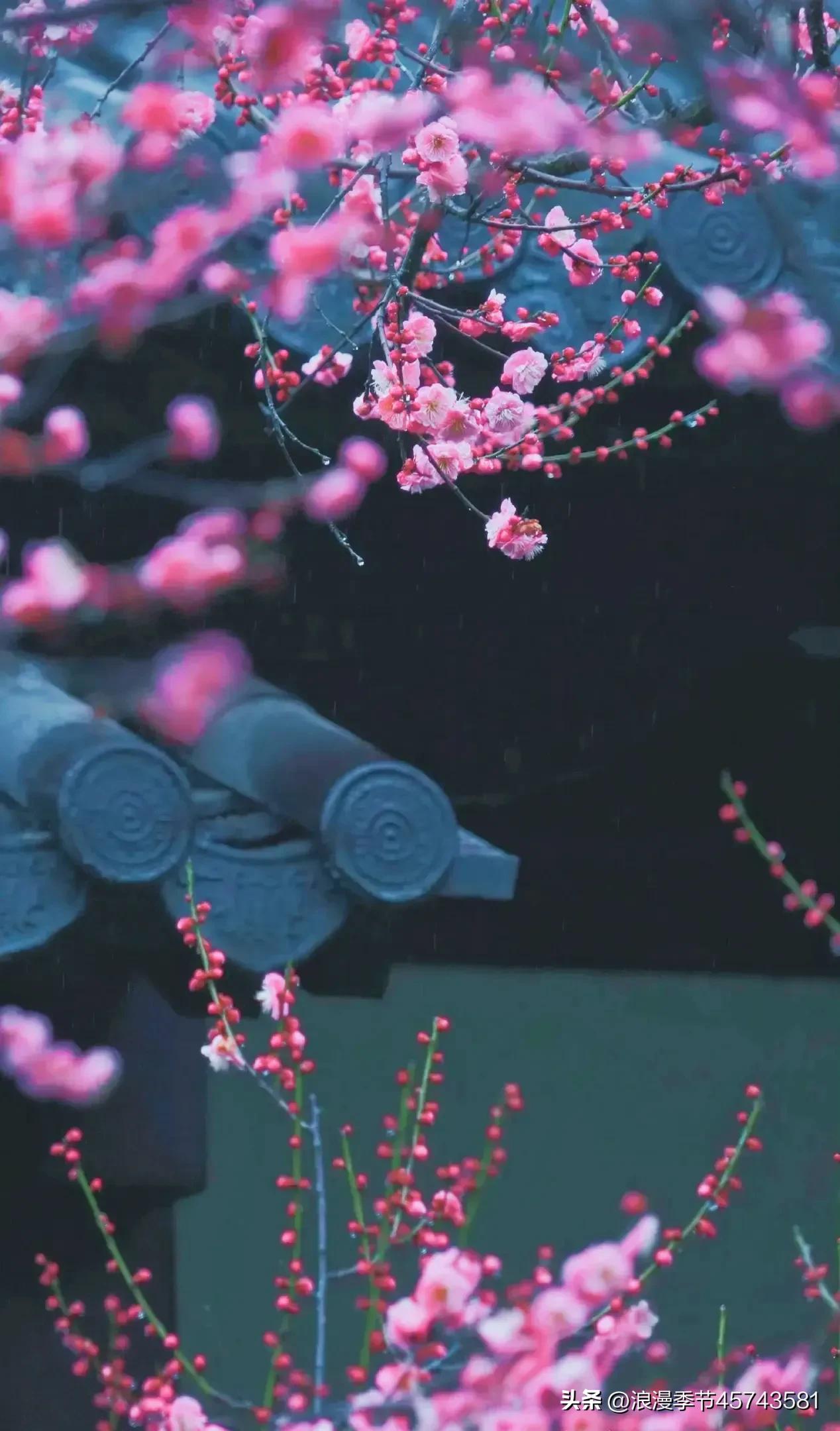 春暖花开日光倾城散文,春暖花开的季节散文