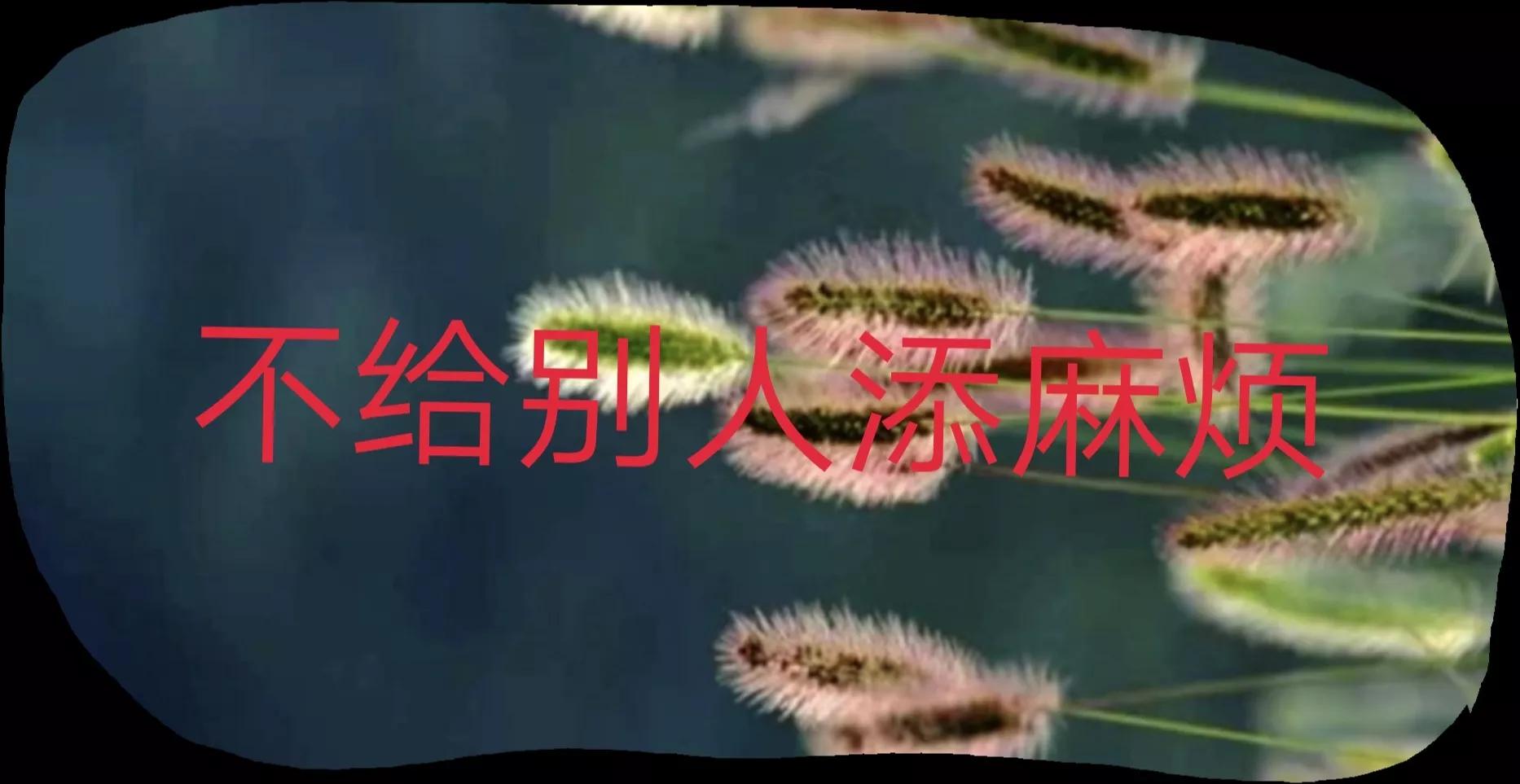 一个女孩有多坚强,一个女人到底是有多坚强