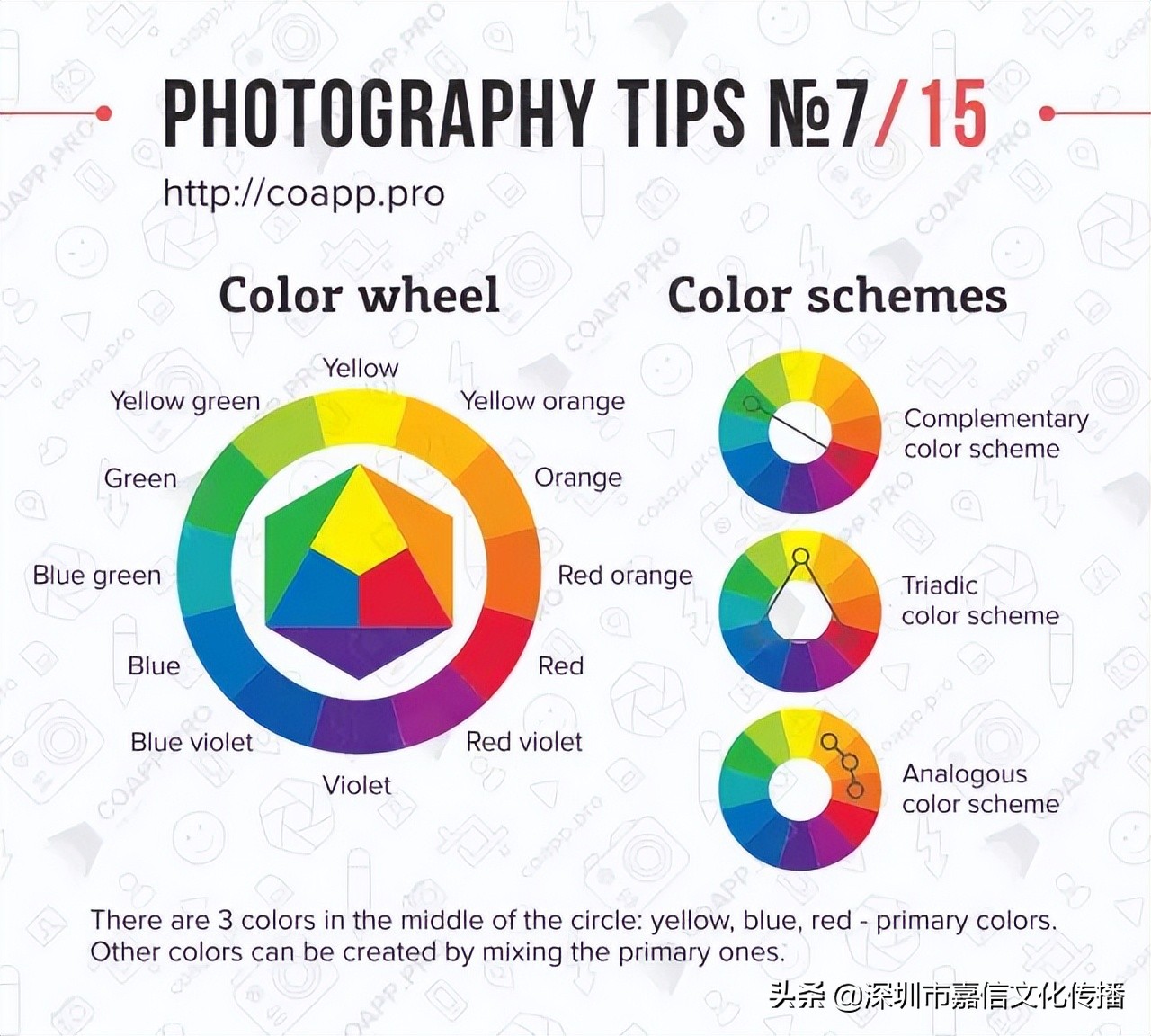 摄影的基础知识题目,摄影的基础是什么