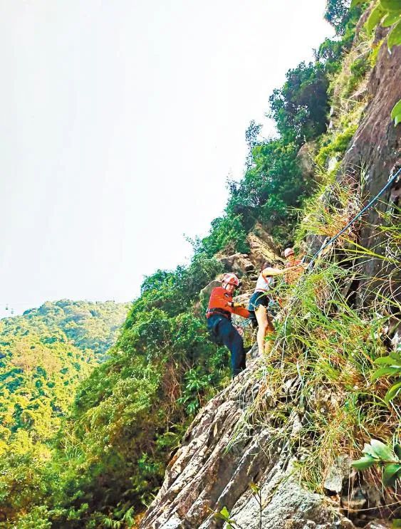 香港珠宝大王卢仲辉坠崖视频,香港珠宝大王卢仲辉坠崖身亡