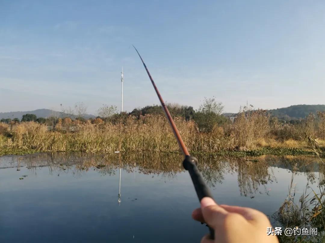 新手买鱼竿避免有哪些坑,新手买鱼竿适合注意什么