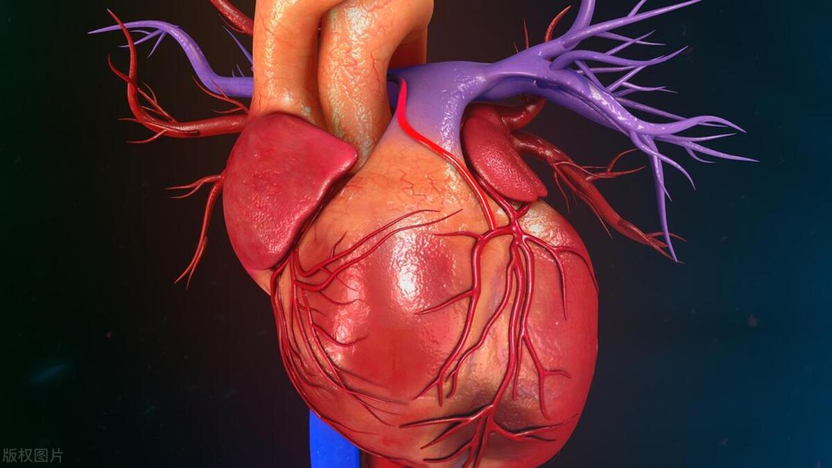通心络胶囊能逆转冠脉斑块吗,通心络胶囊能预防脑梗心梗吗