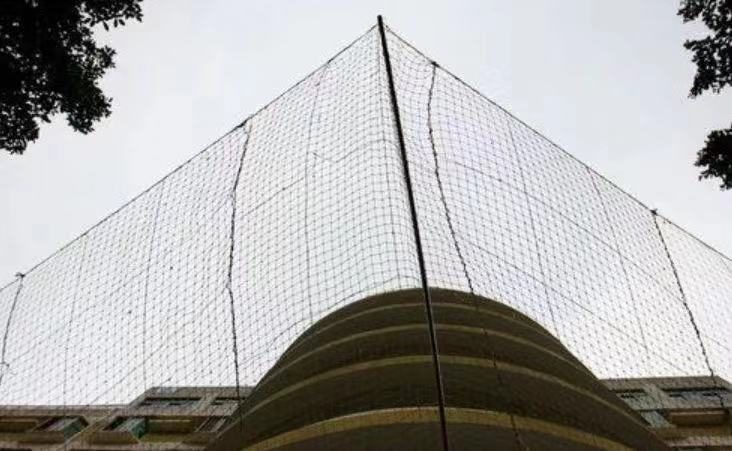 富士康什么时候来大陆的 (富士康在大陆有多长时间了)