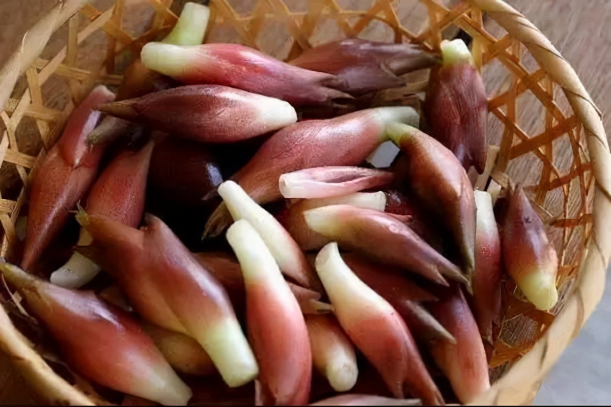 野菜100种大全,能吃的100种野菜大全
