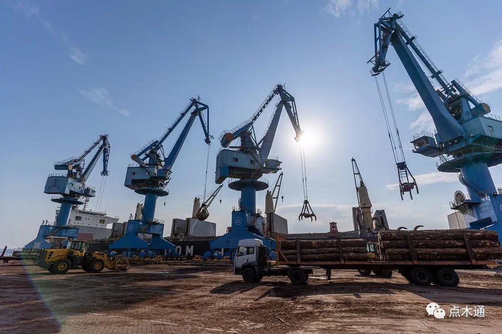 木材价格行情最新报价网站,木材价格到最近这几年的最低价了