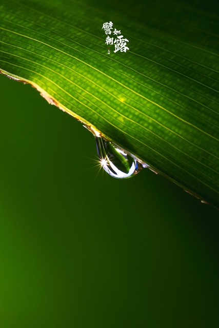 感动故事怎么写,感动故事正能量怎么变现