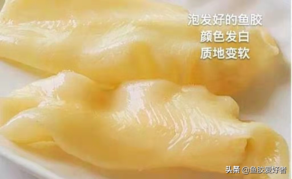 如何泡发鱼胶最简单方法,鱼胶怎么泡发比较方便