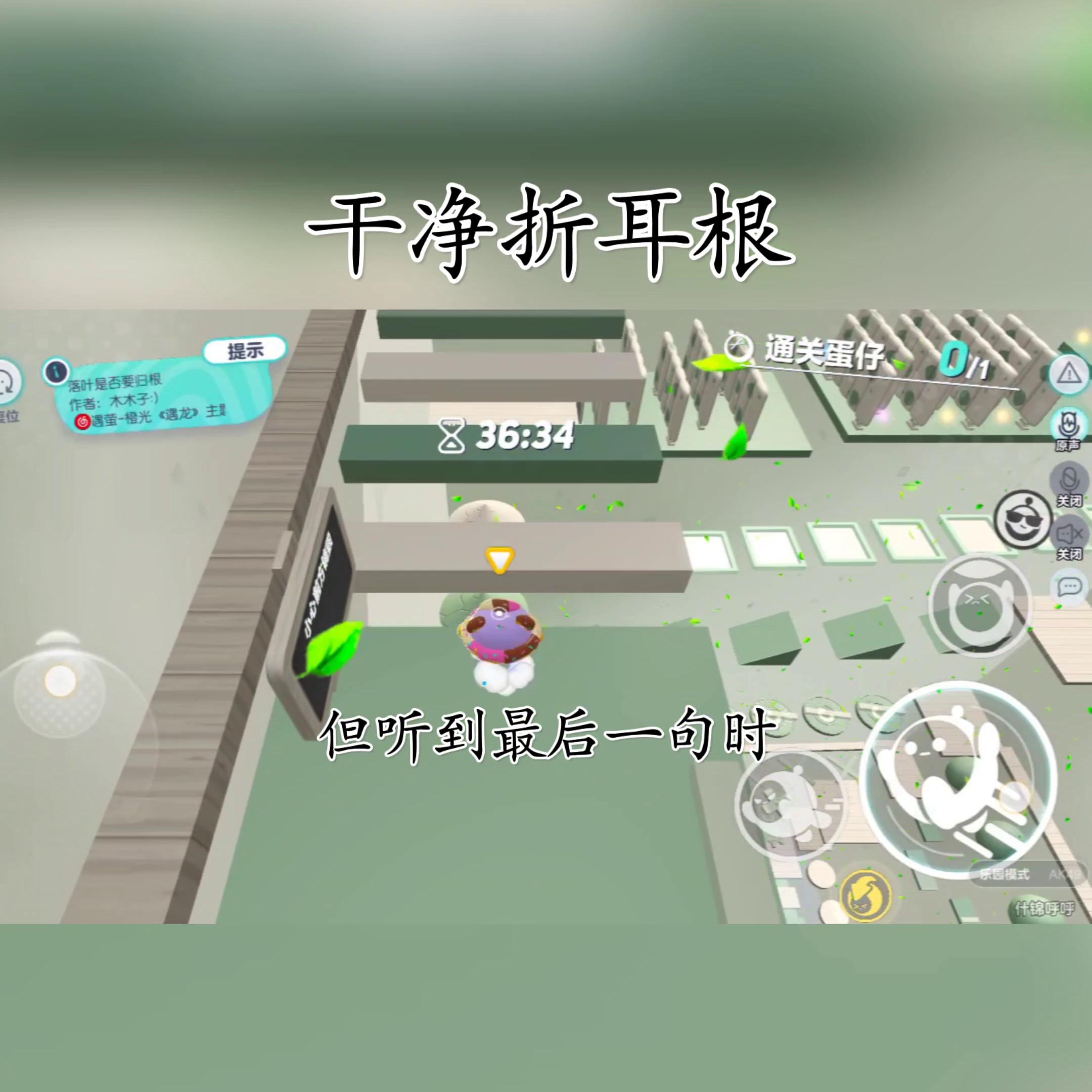 傻猫炸毛,炸毛傻猫知乎完整版