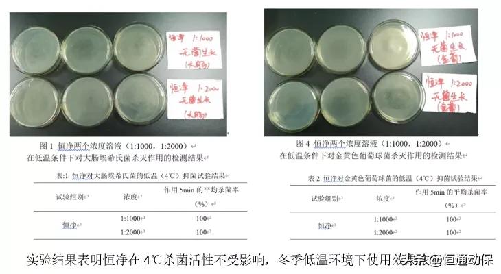 恒通技术宝典|烧碱价格飞涨，养殖场环境消毒用它就对了