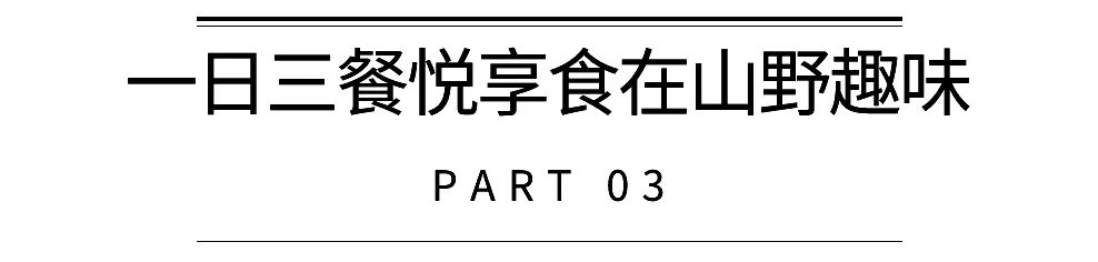 中越边境的世外桃源,中越边境线上的桃源