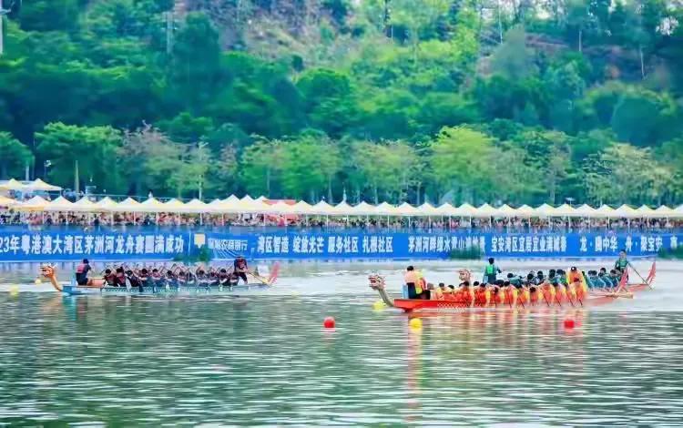 粤港澳龙舟赛直播,深圳粤港澳龙舟赛直播