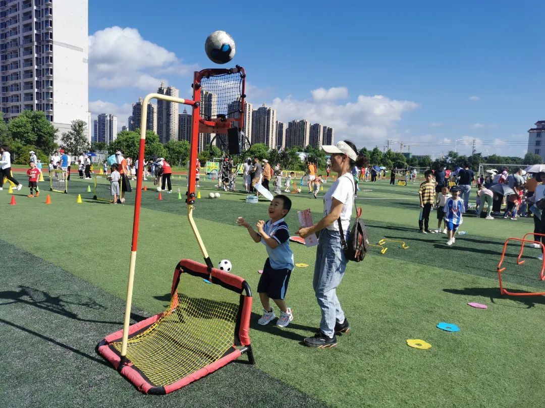 派迪茵体育产品,派迪茵体育直播