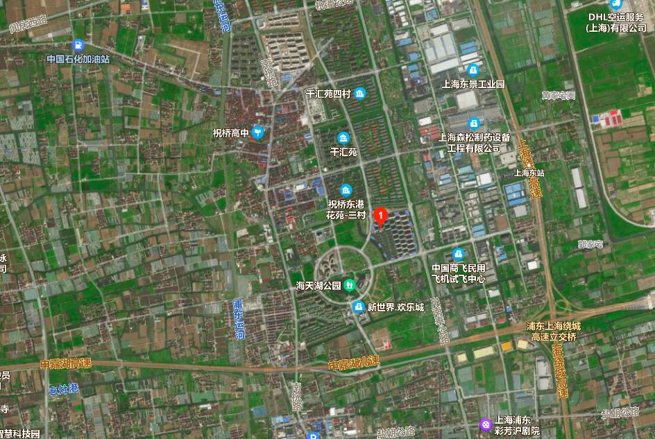 上海楼市的八大坑盘,上海楼市8大坑盘