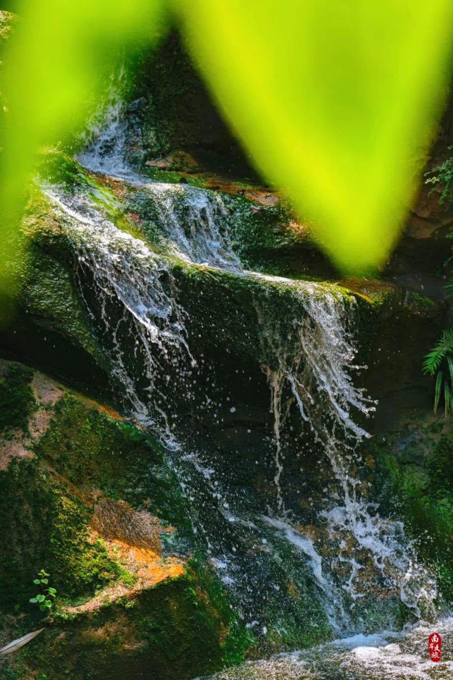 1500米以上南川避暑地推荐,南岸周末避暑景点有哪些