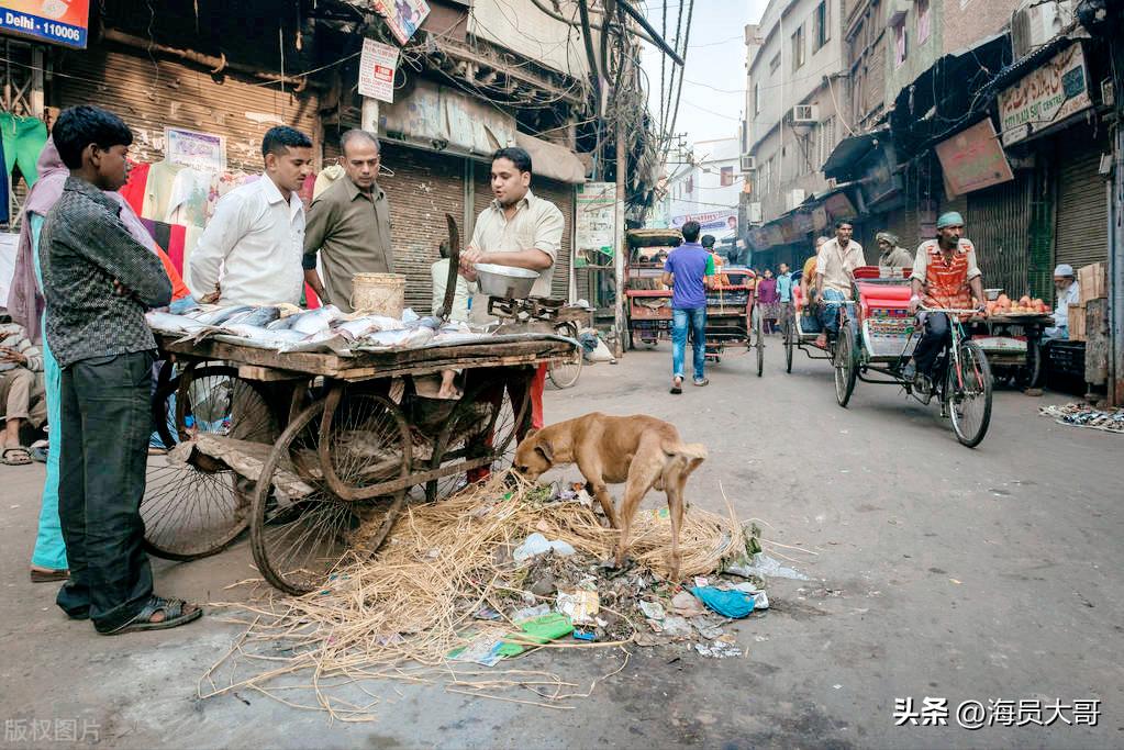 船到印度，船员两天两晚的遭遇让人懊恼，真实经历让人难以想象