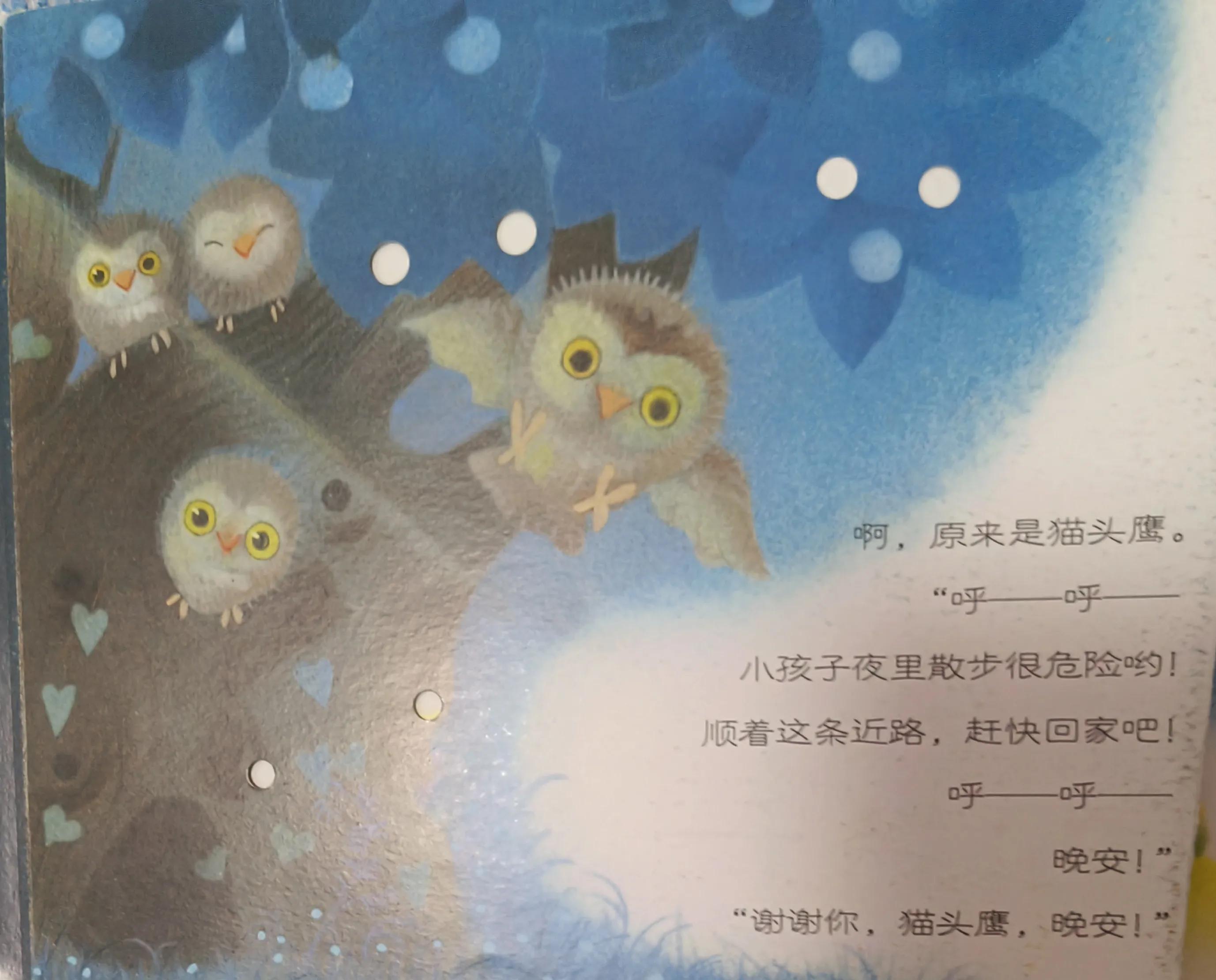 GoodNightChickBall!晚安！小鸡球球！暑假家庭双语剧系列