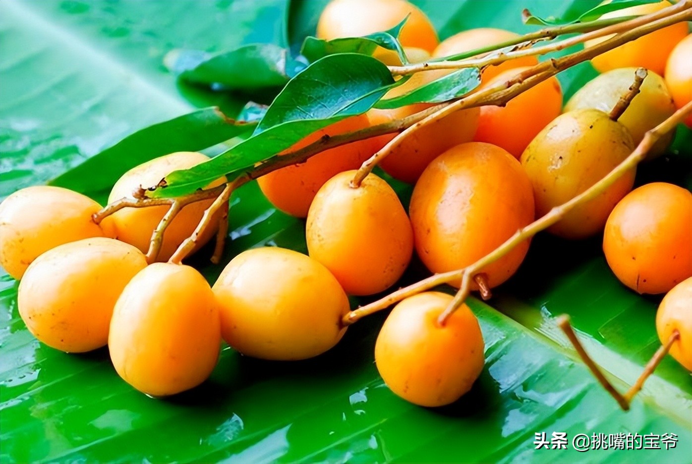 苏里南中国春节,苏里南的特色水果是什么