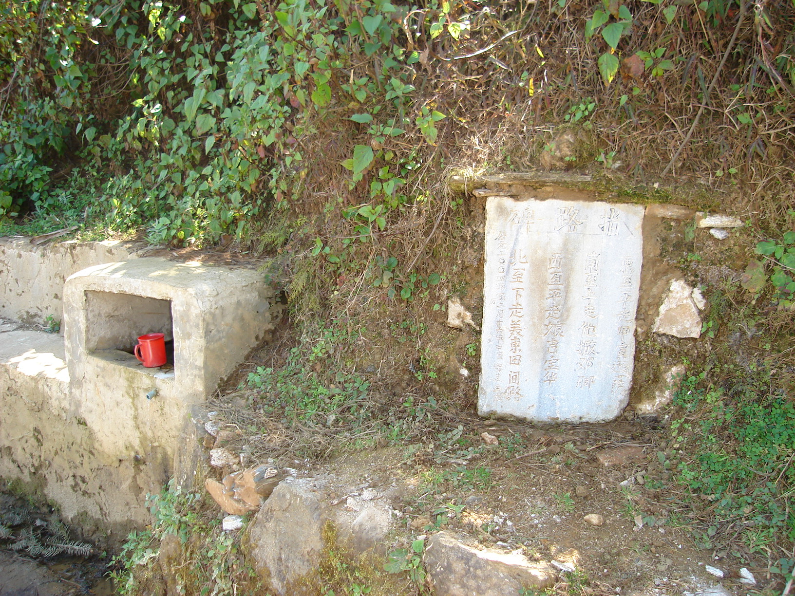 背柴火的女孩儿的图片,背柴火彝族姑娘