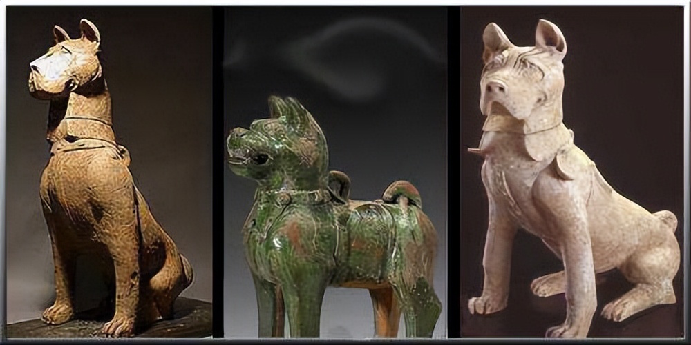 川东猎犬和广西猎犬哪个更厉害,川东猎犬和虎斑犬混血的猎犬