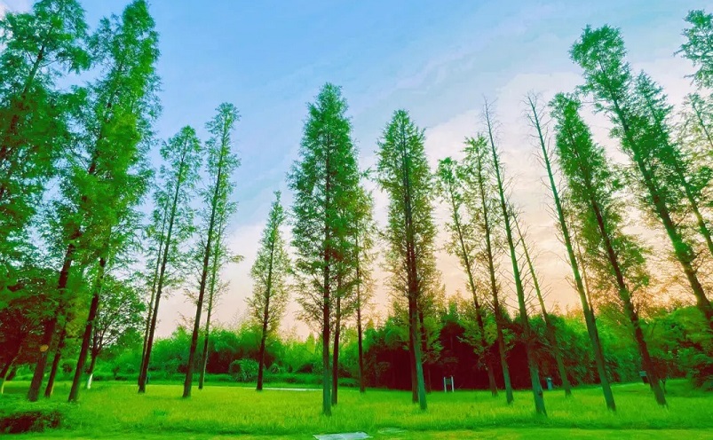 长沙冷门好吃的地方,长沙周边100公里以内小众冷门景点