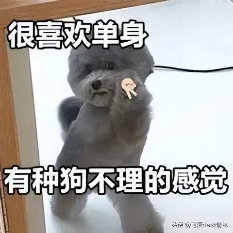 抖音黑人老嫂子搞笑表情包合集