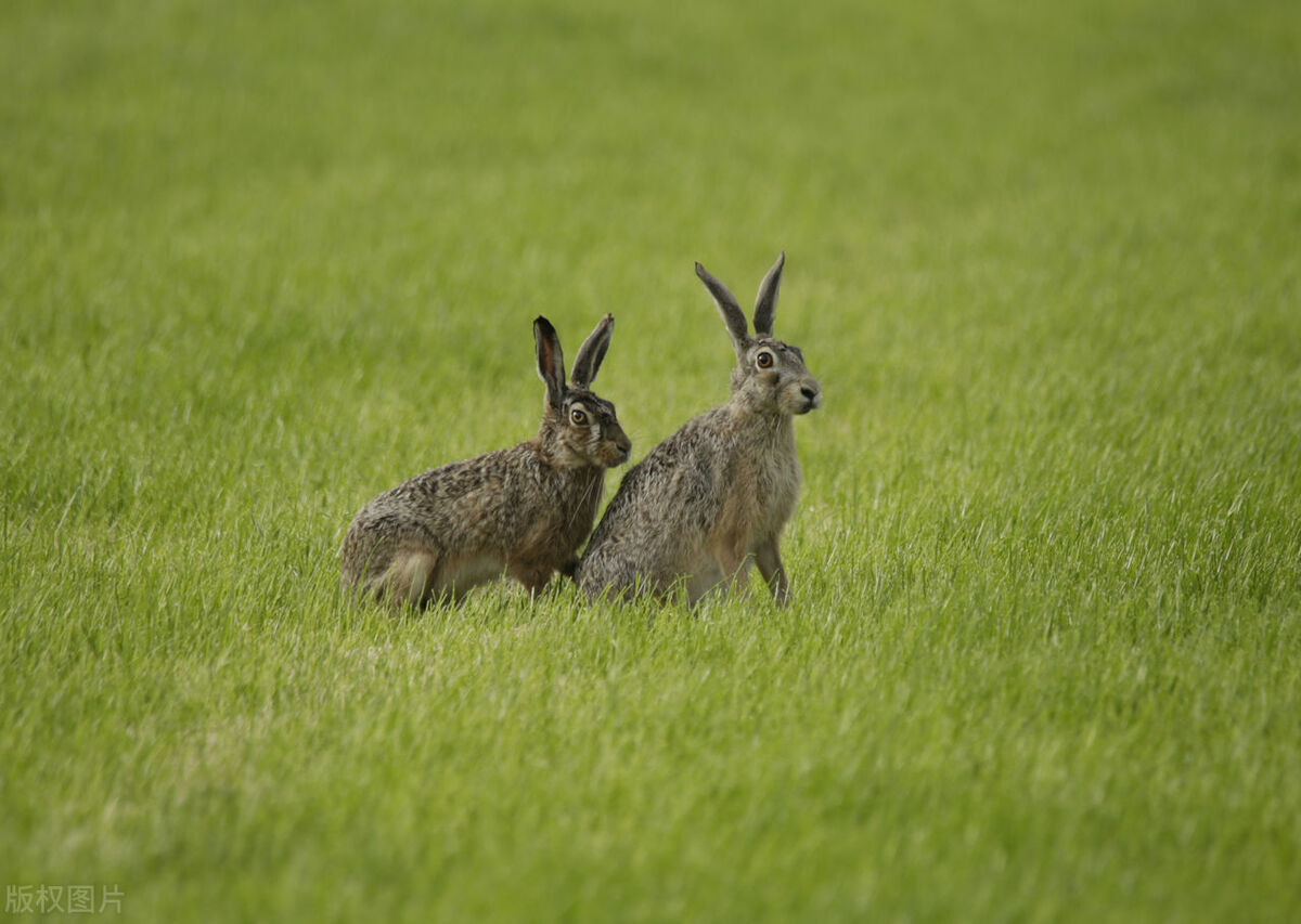 船到荷兰，同事草率行为遭到1000欧元罚款，船员真实体验不一样