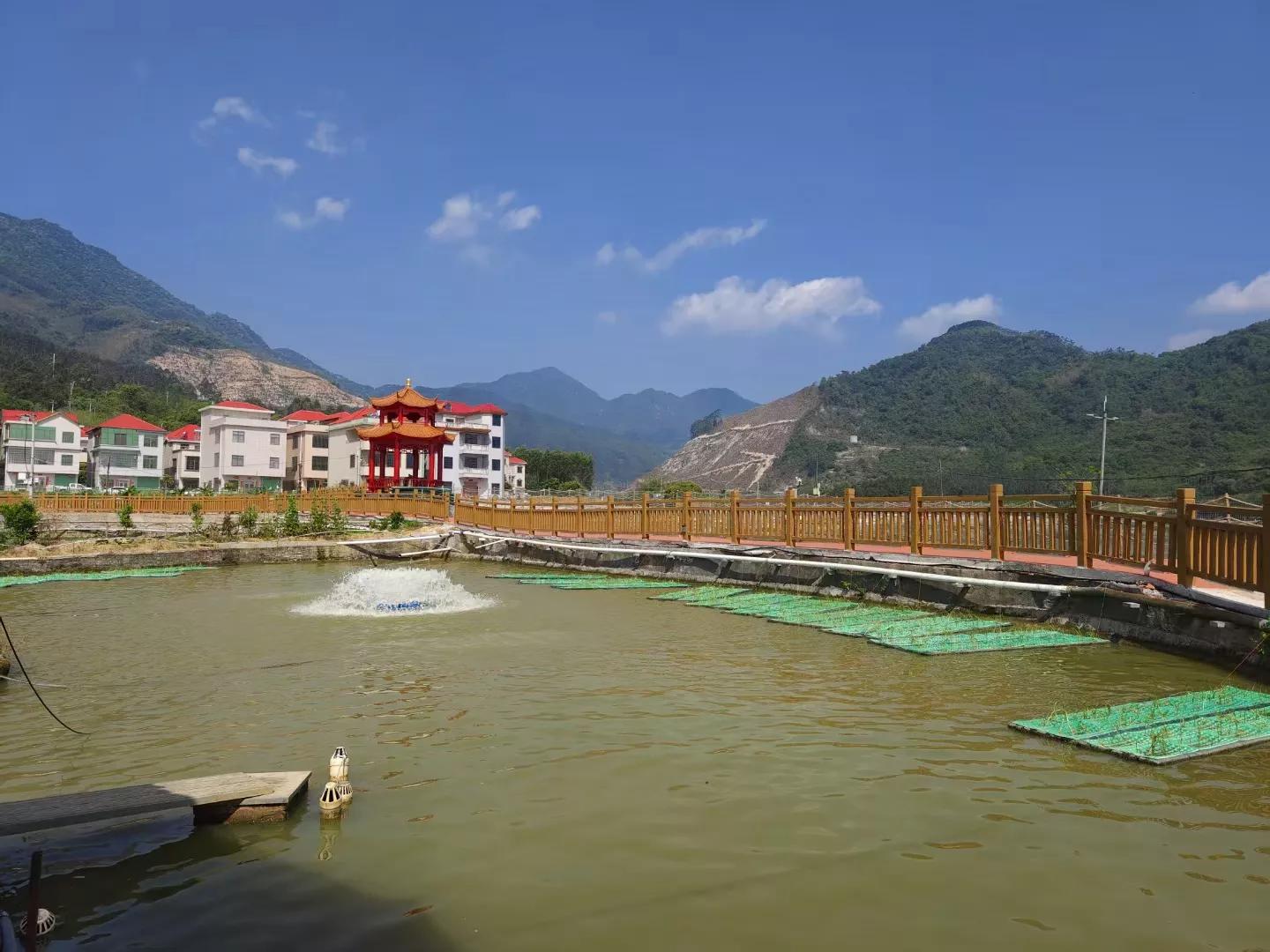 最好吃的淡水鱼排行榜,最好吃的淡水鱼品种大全