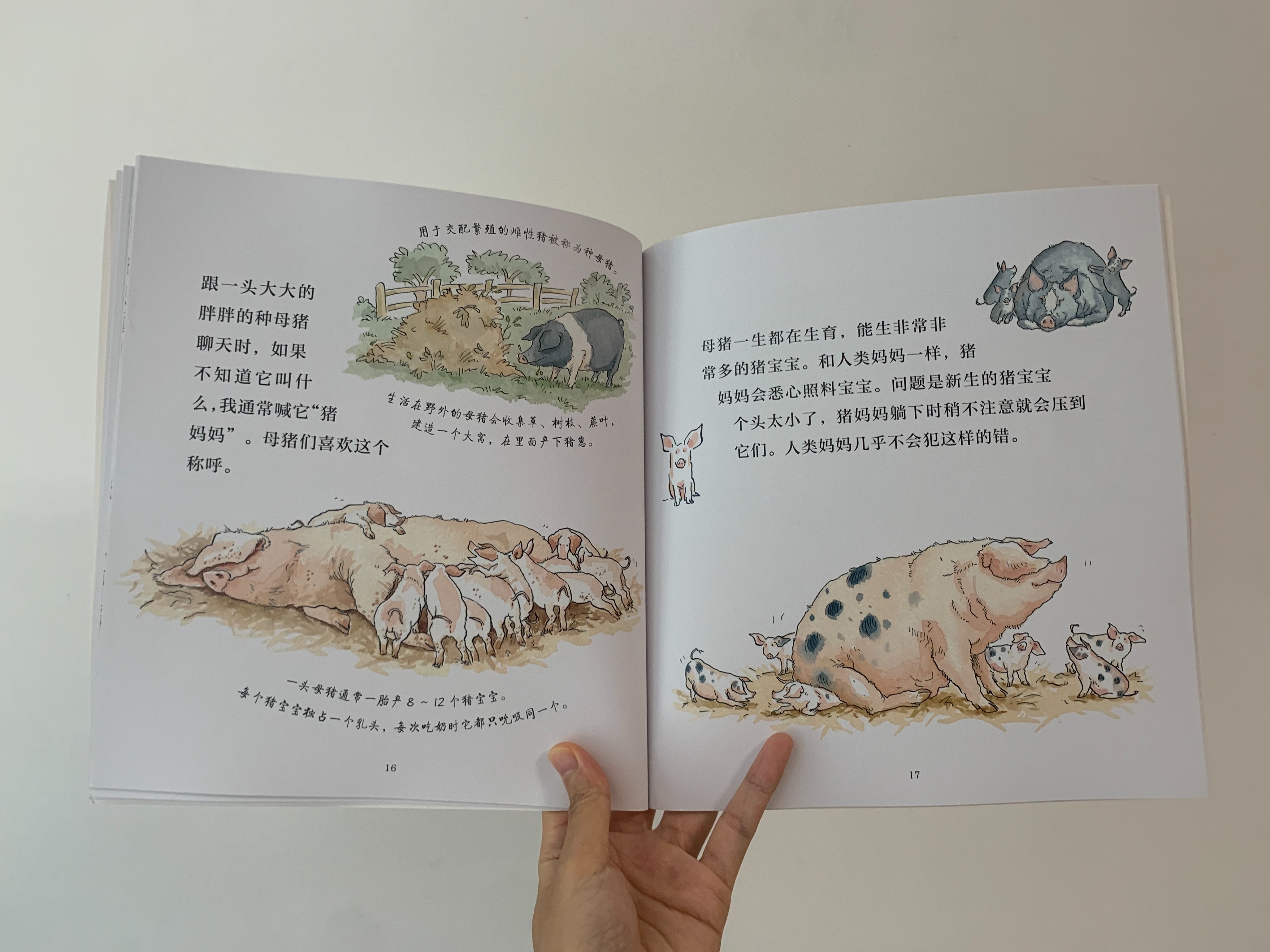 如何启发孩子观察大自然,培养孩子自然观察