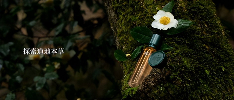 十年磨一剑39集完整版,相宜本草上市2019