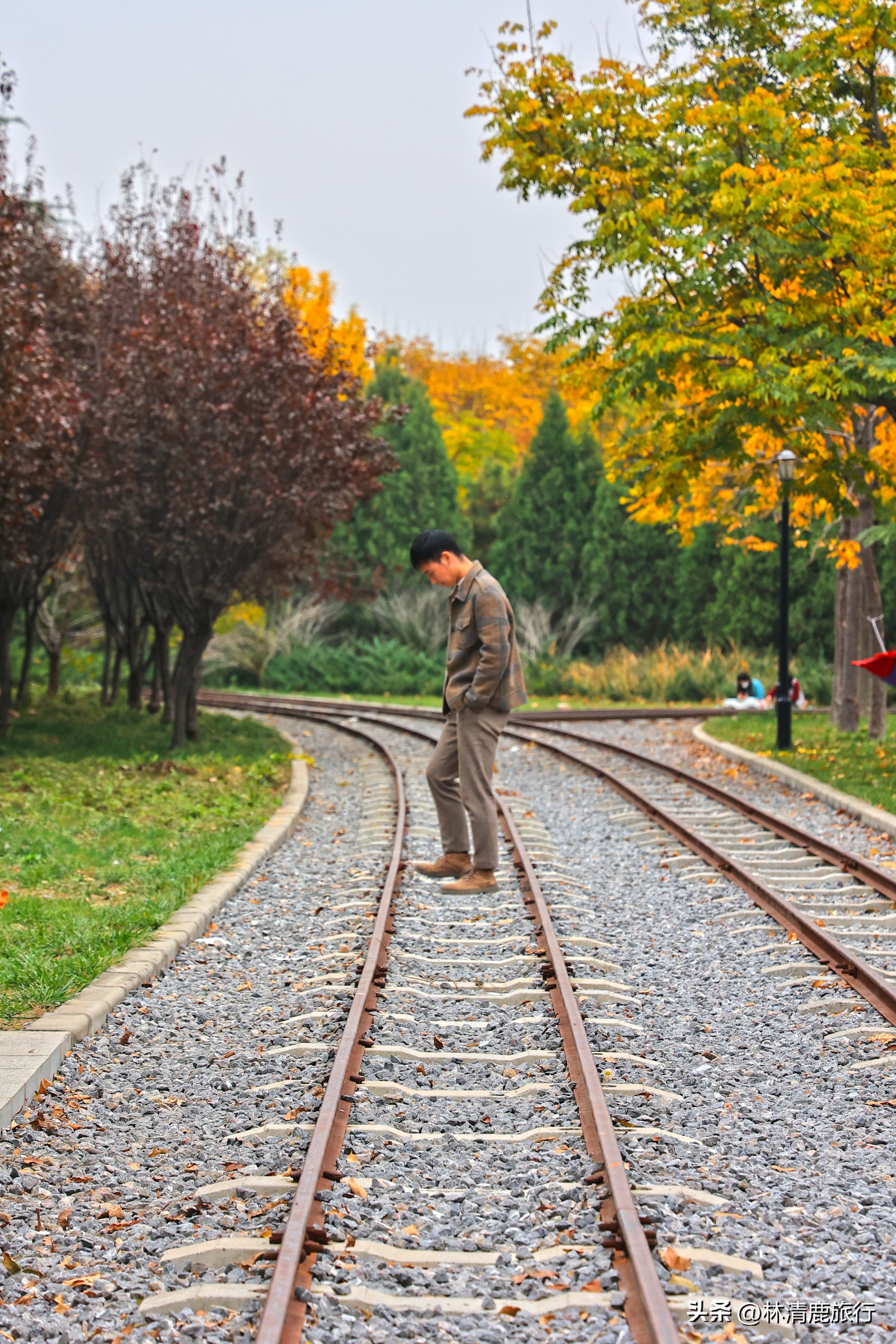 郑州哪个公园有火车,郑州有铁轨的公园