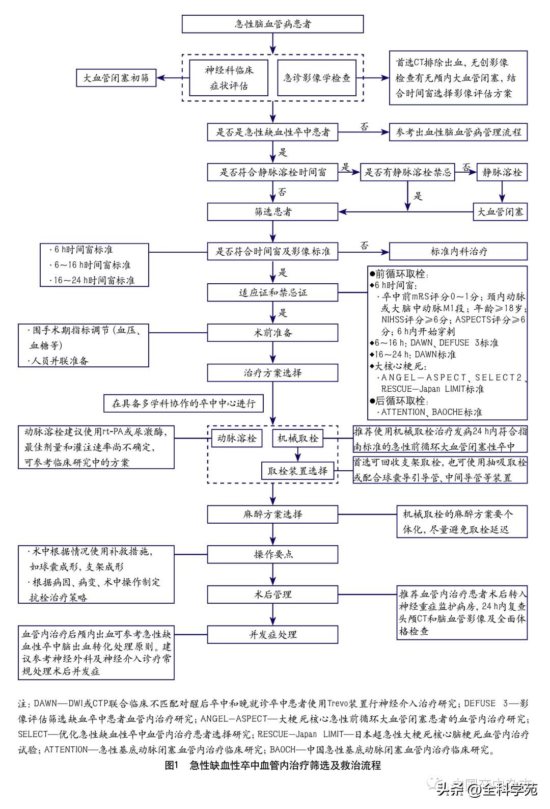 缺血性卒中血管内治疗指南2023,急性缺血性卒中血管内再通标准