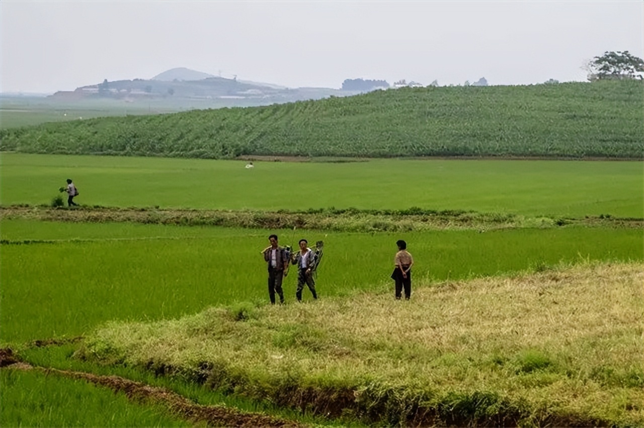 朝鲜看中国的视角,真正的朝鲜是什么样的